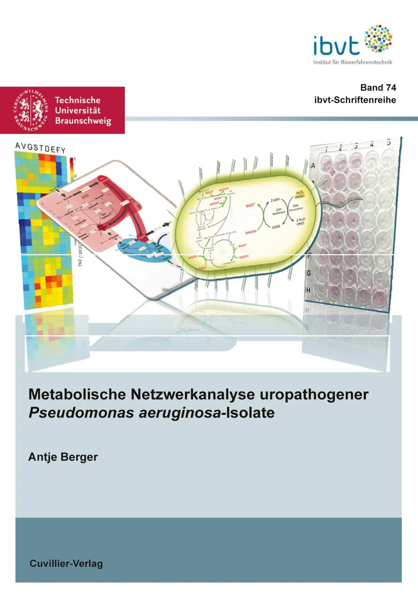 Cover: 9783954047628 | Metabolische Netzwerkanalyse uropathogener Pseudomonas...