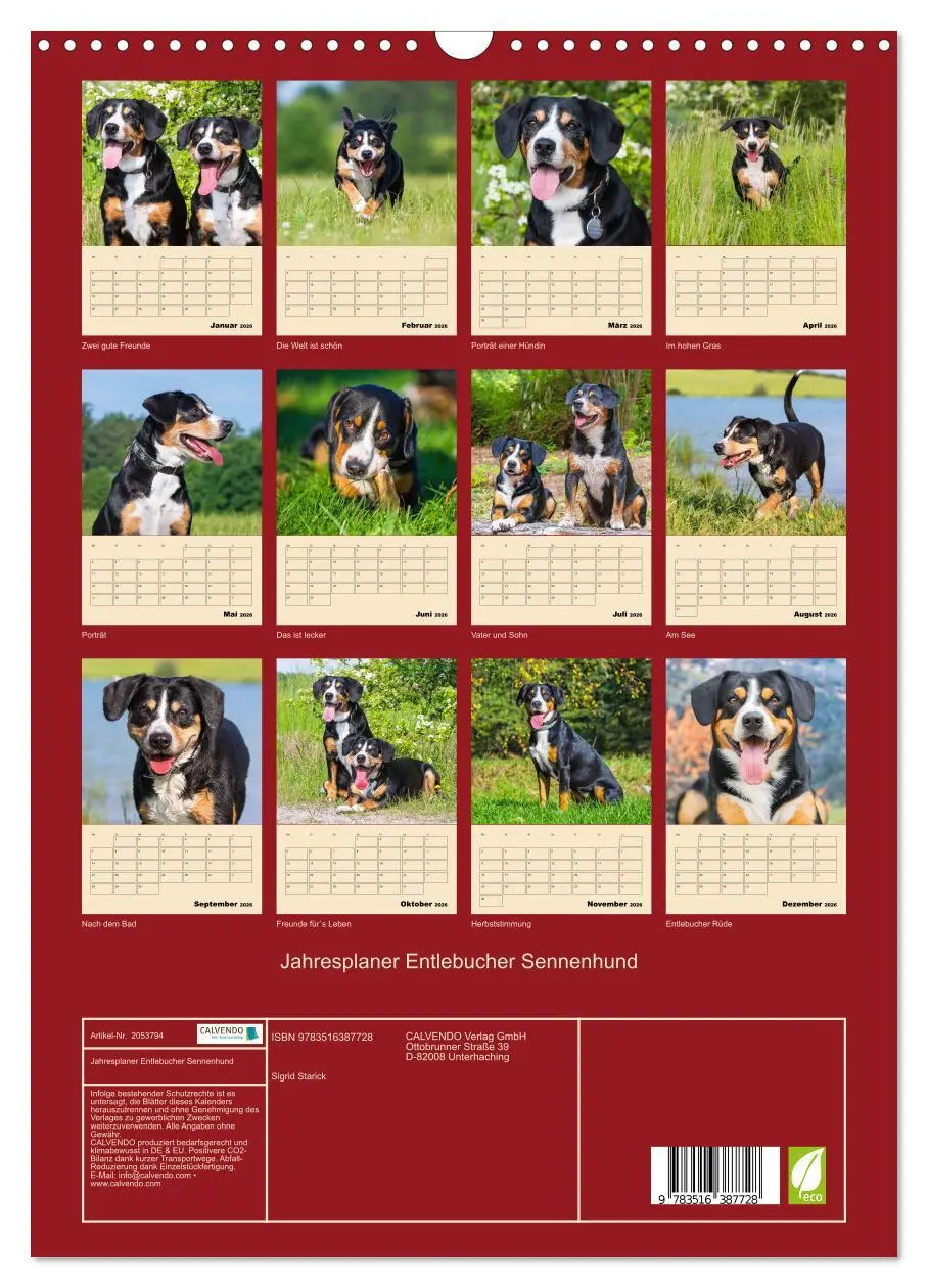 Bild: 9783516387728 | Jahresplaner Entlebucher Sennenhund (Wandkalender 2026 DIN A3...