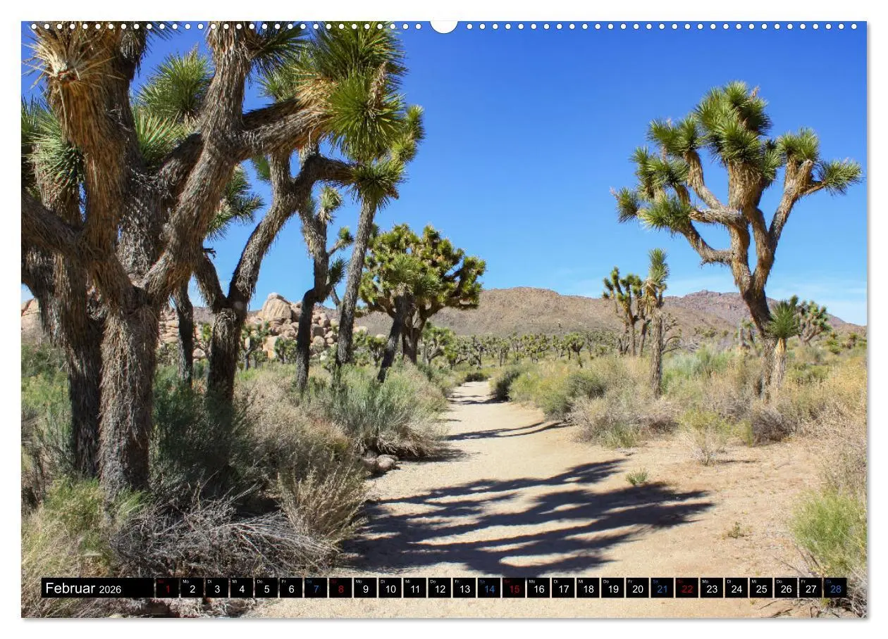 Bild: 9783457667828 | USA - Der Südwesten (Wandkalender 2026 DIN A2 quer), CALVENDO...