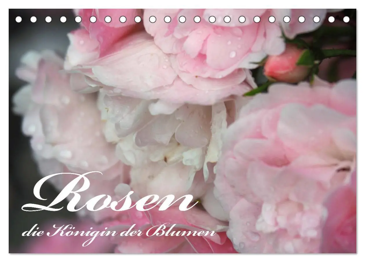 Cover: 9783457737828 | Rosen, die Königin der Blumen (Tischkalender 2026 DIN A5 quer),...