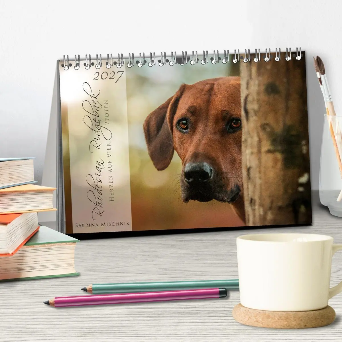 Bild: 9783569777828 | Rhodesian Ridgeback - Herzen auf vier Pfoten (Tischkalender 2027...