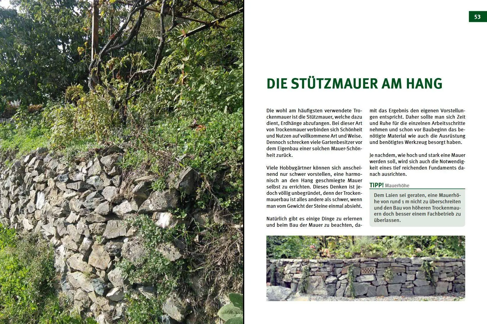 Bild: 9783702017828 | Trockenmauern | Bauanleitungen, Lebensräume &amp; Bepflanzung, Praxisbuch