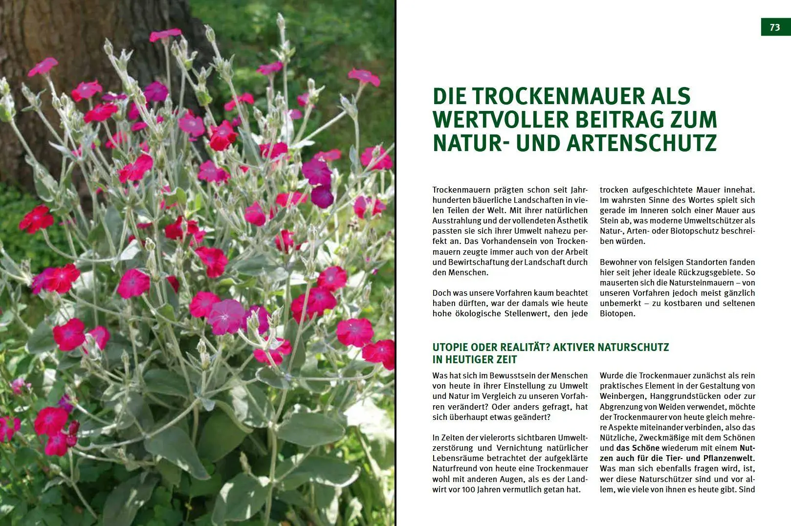 Bild: 9783702017828 | Trockenmauern | Bauanleitungen, Lebensräume &amp; Bepflanzung, Praxisbuch