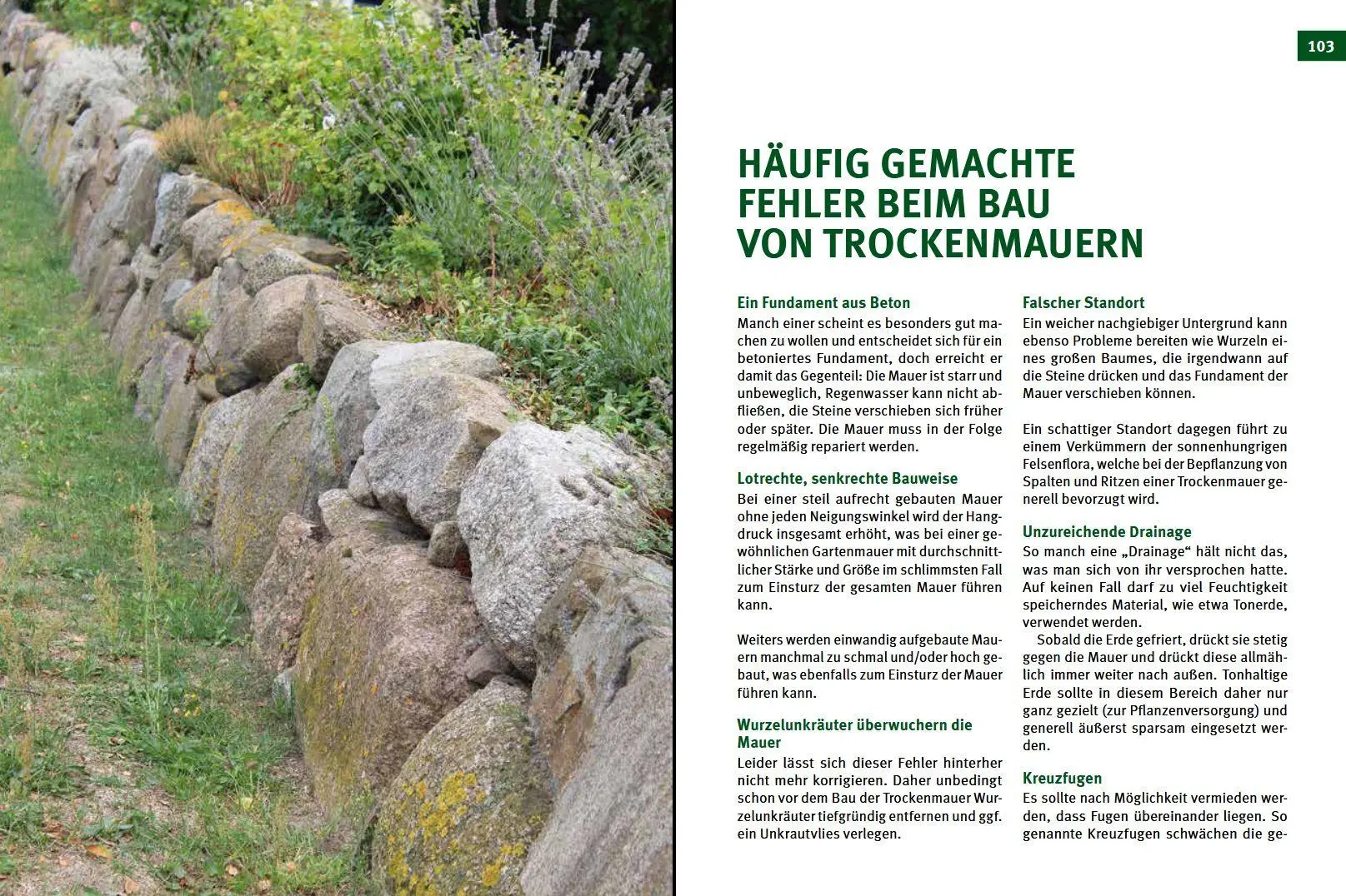 Bild: 9783702017828 | Trockenmauern | Bauanleitungen, Lebensräume &amp; Bepflanzung, Praxisbuch