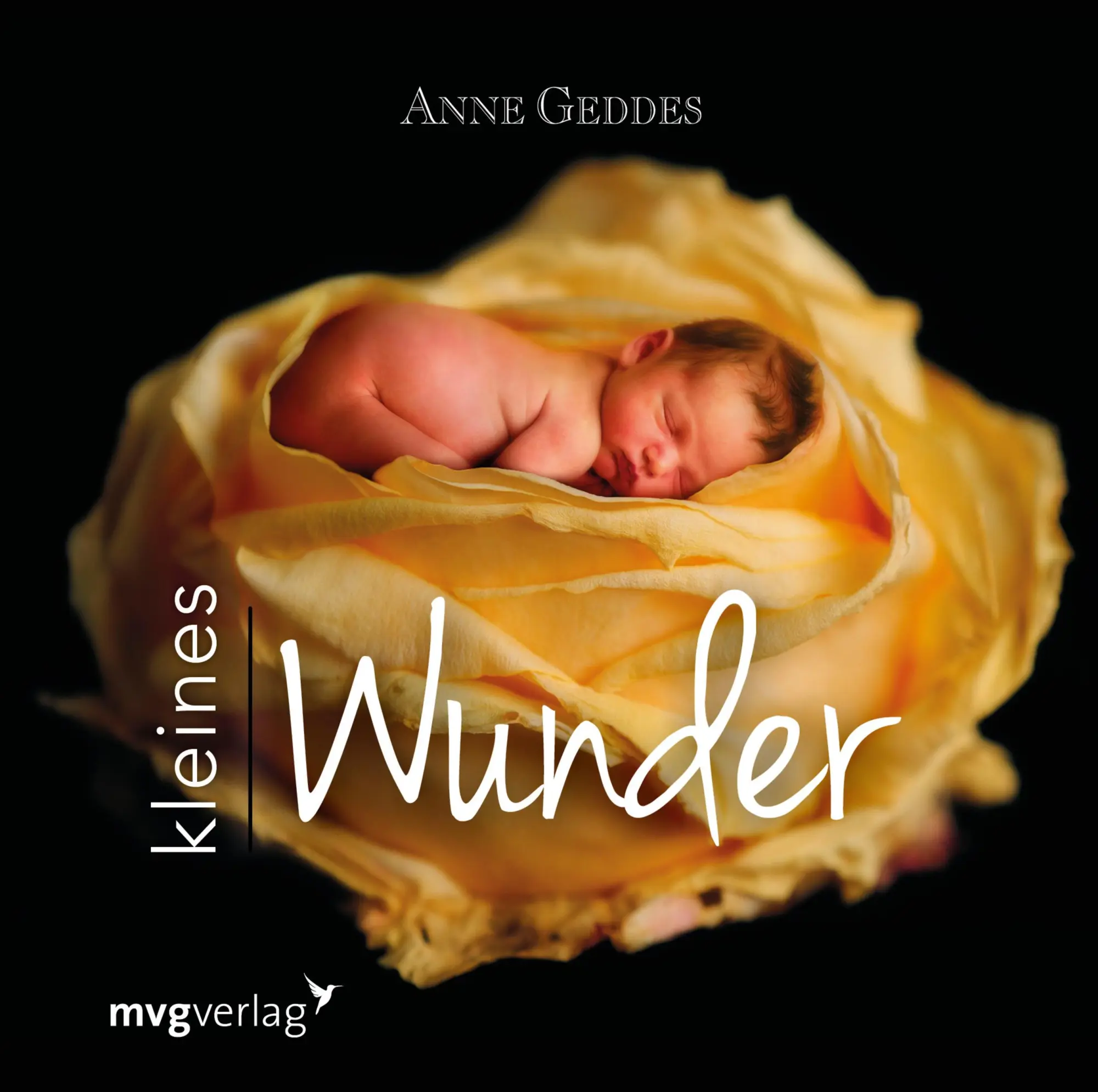 Cover: 9783868827828 | Kleines Wunder | Anne Geddes | Buch | 64 S. | Deutsch | 2016