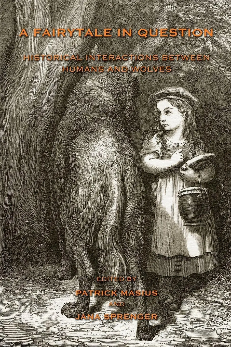 Cover: 9781874267928 | A Fairytale in Question | Patrick Masius (u. a.) | Taschenbuch | 2016
