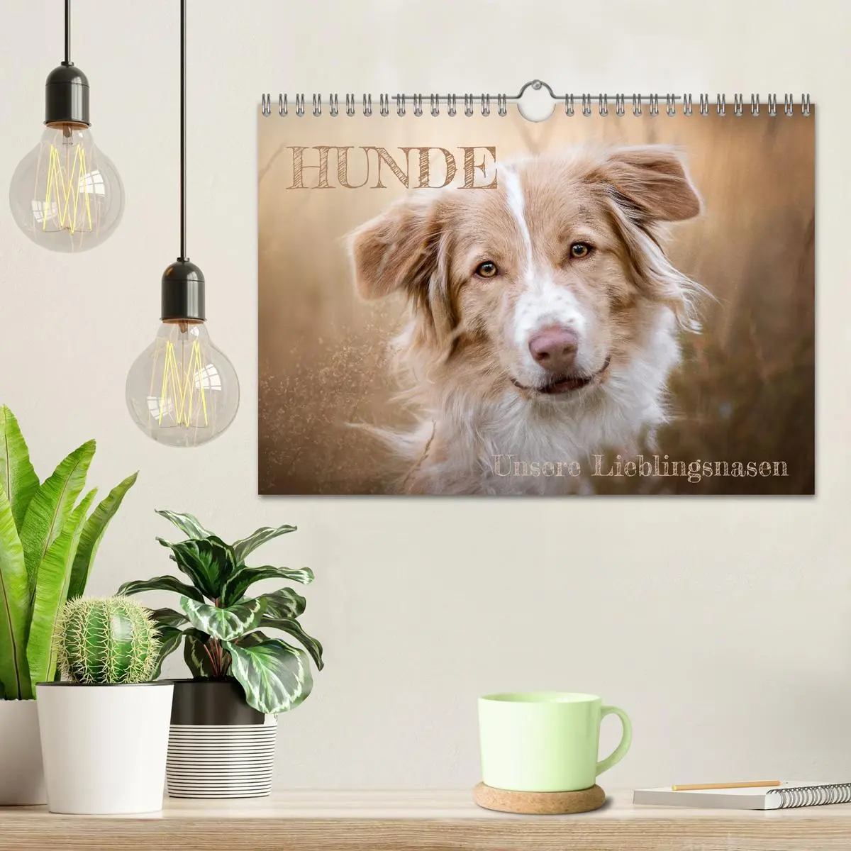 Bild: 9783457587928 | Hunde - Unsere Lieblingsnasen (Wandkalender 2026 DIN A4 quer),...