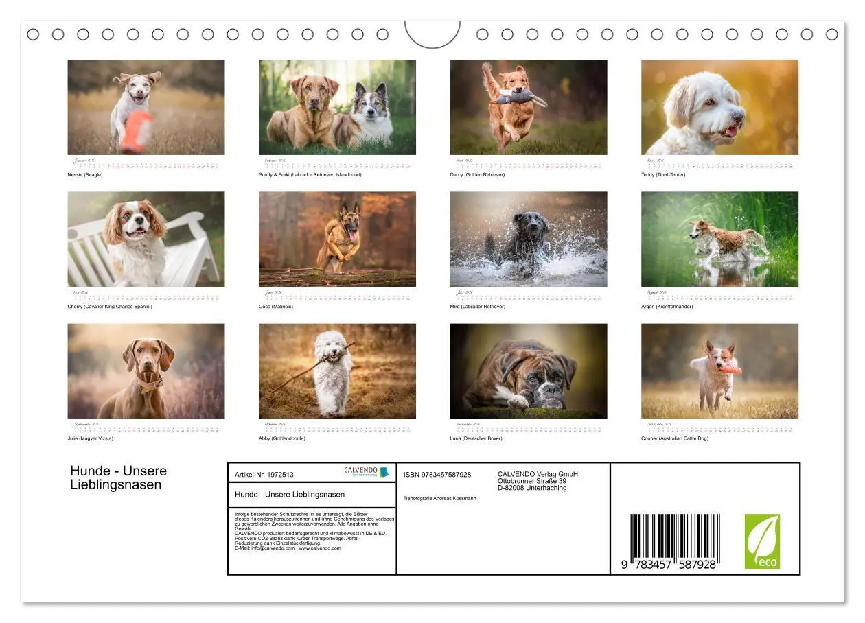 Bild: 9783457587928 | Hunde - Unsere Lieblingsnasen (Wandkalender 2026 DIN A4 quer),...