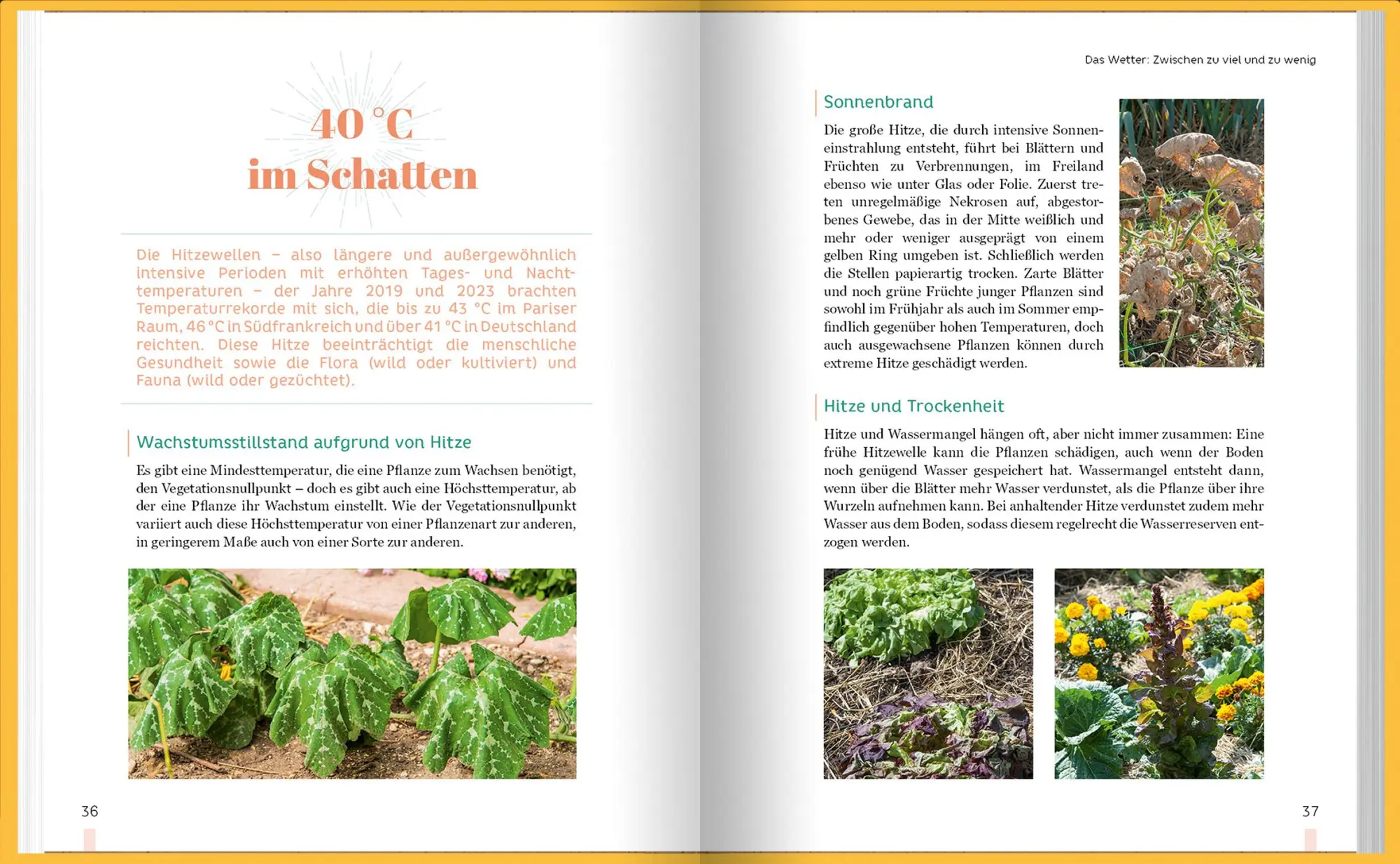 Bild: 9783784357928 | Erntewunder trotz Wetterchaos | Robert Elger | Buch | 144 S. | Deutsch
