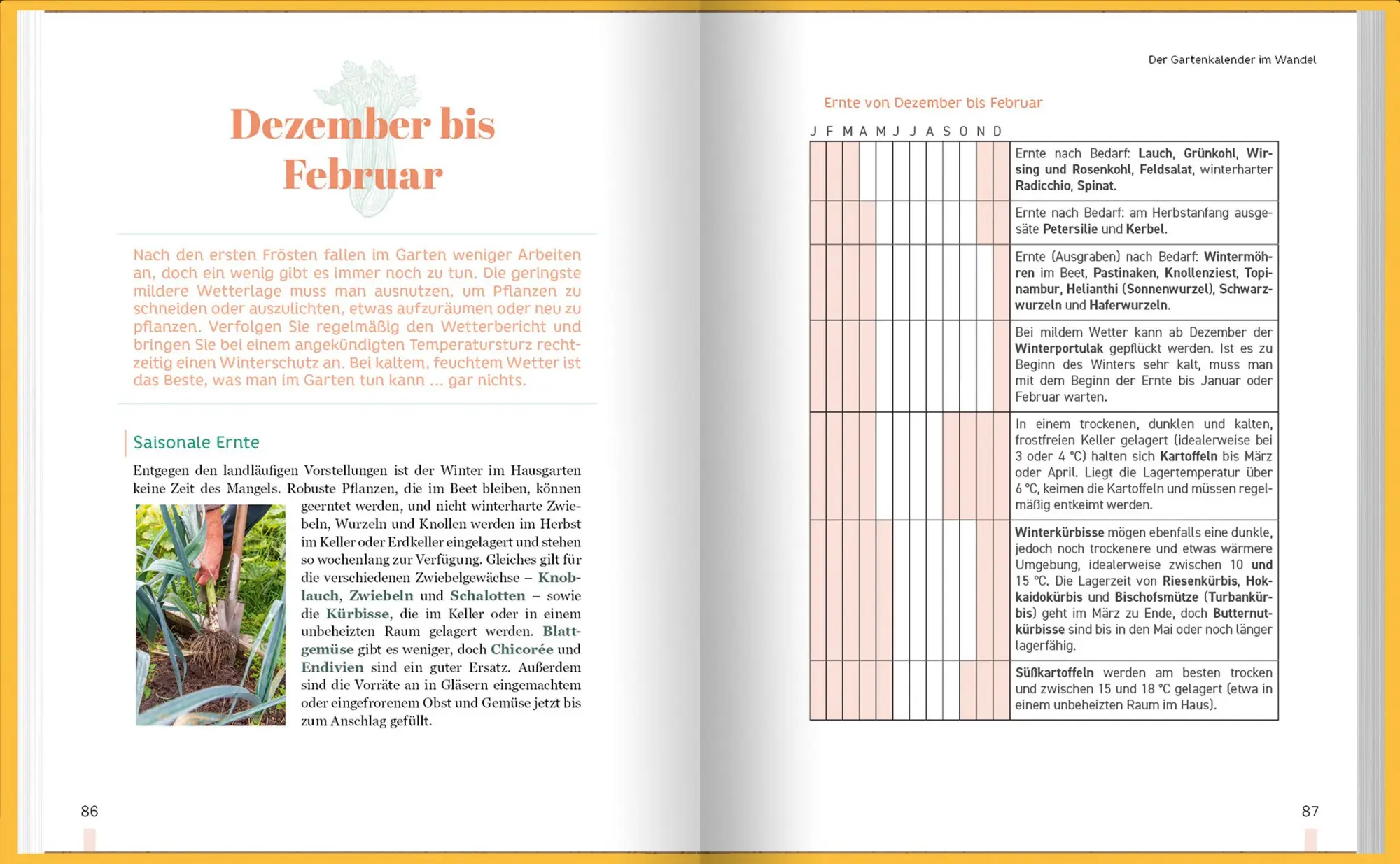 Bild: 9783784357928 | Erntewunder trotz Wetterchaos | Robert Elger | Buch | 144 S. | Deutsch