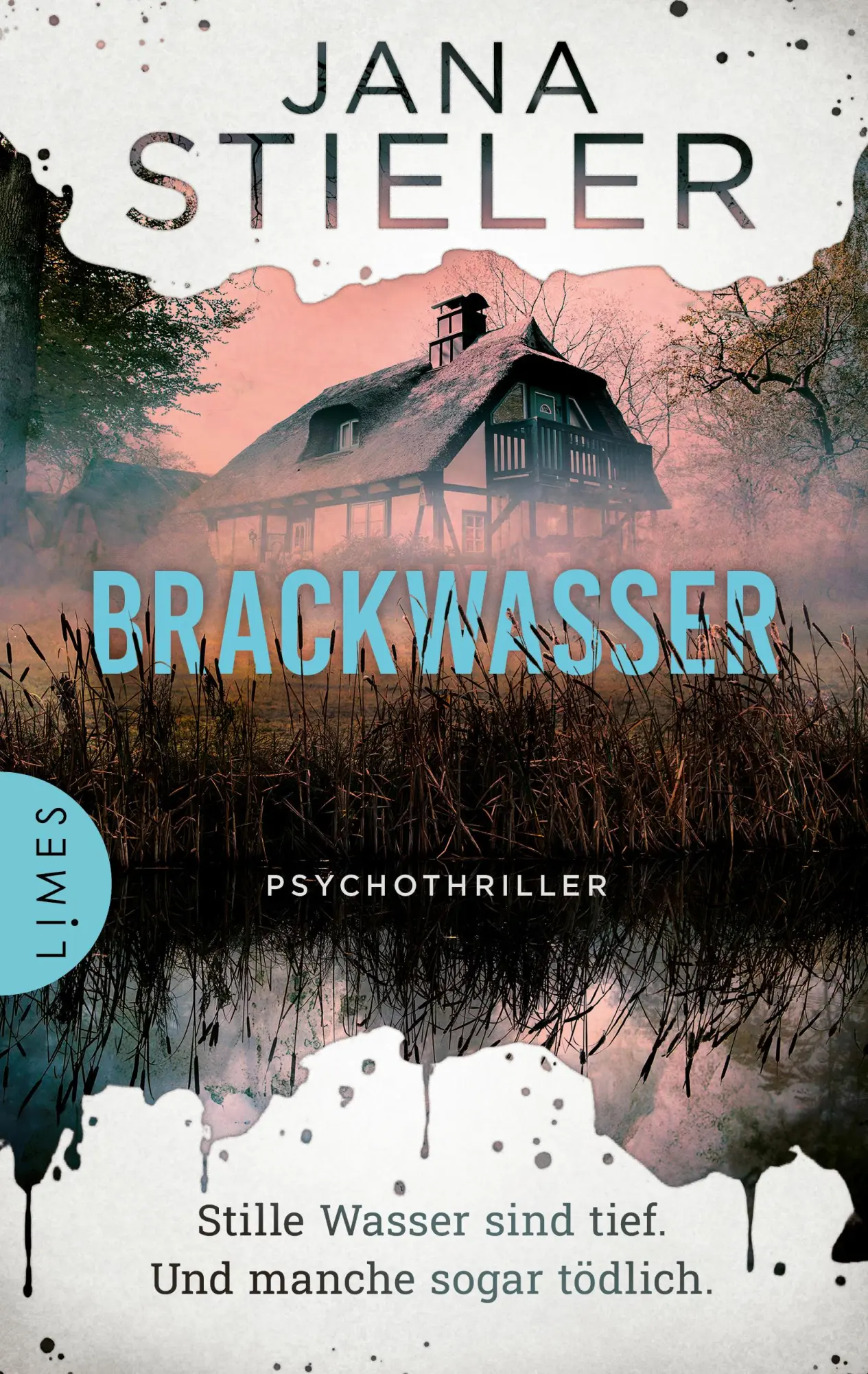 Cover: 9783809027928 | Brackwasser - Stille Wasser sind tief. Und manche sogar tödlich ...