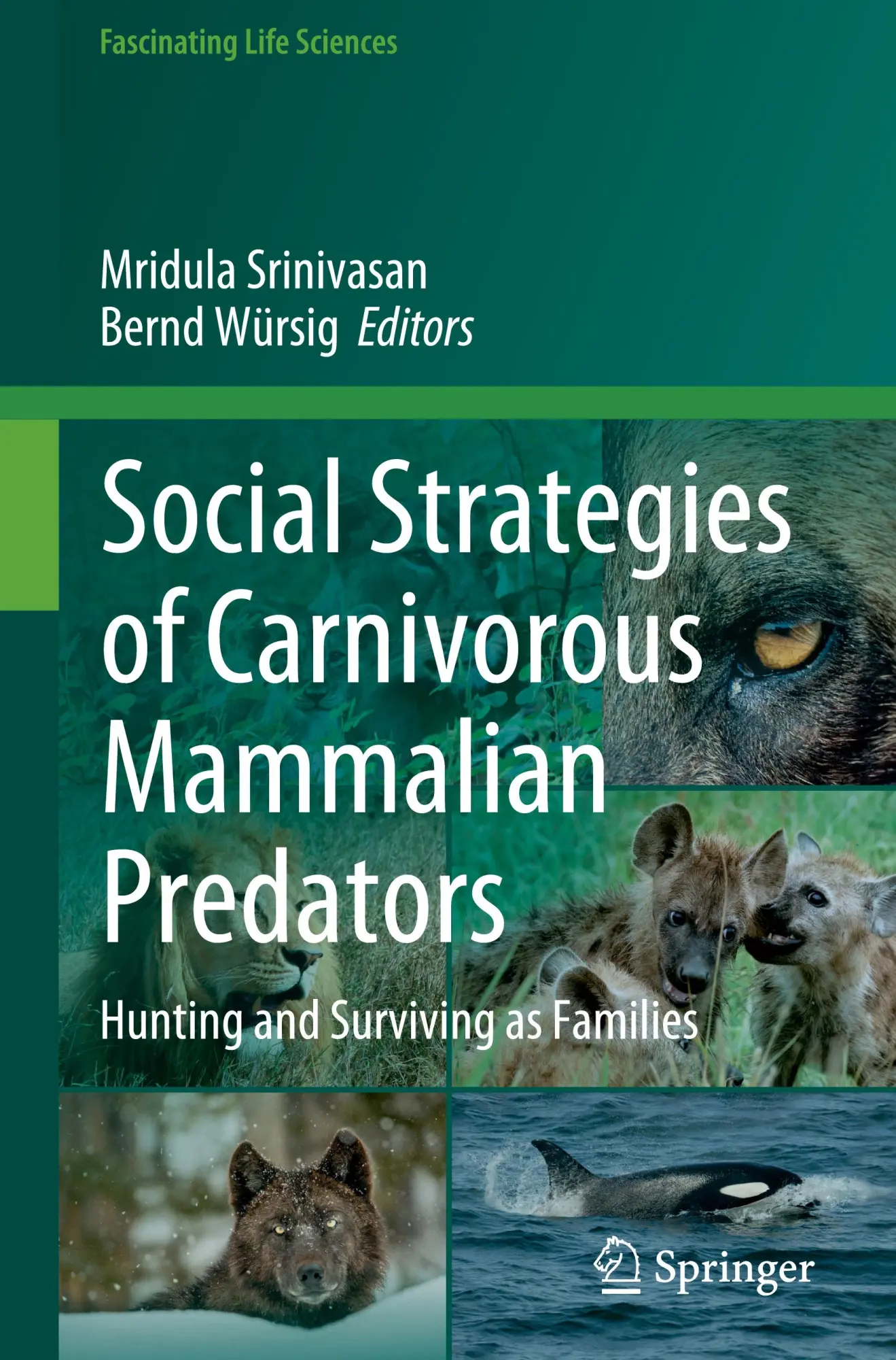 Cover: 9783031298028 | Social Strategies of Carnivorous Mammalian Predators | Würsig (u. a.)