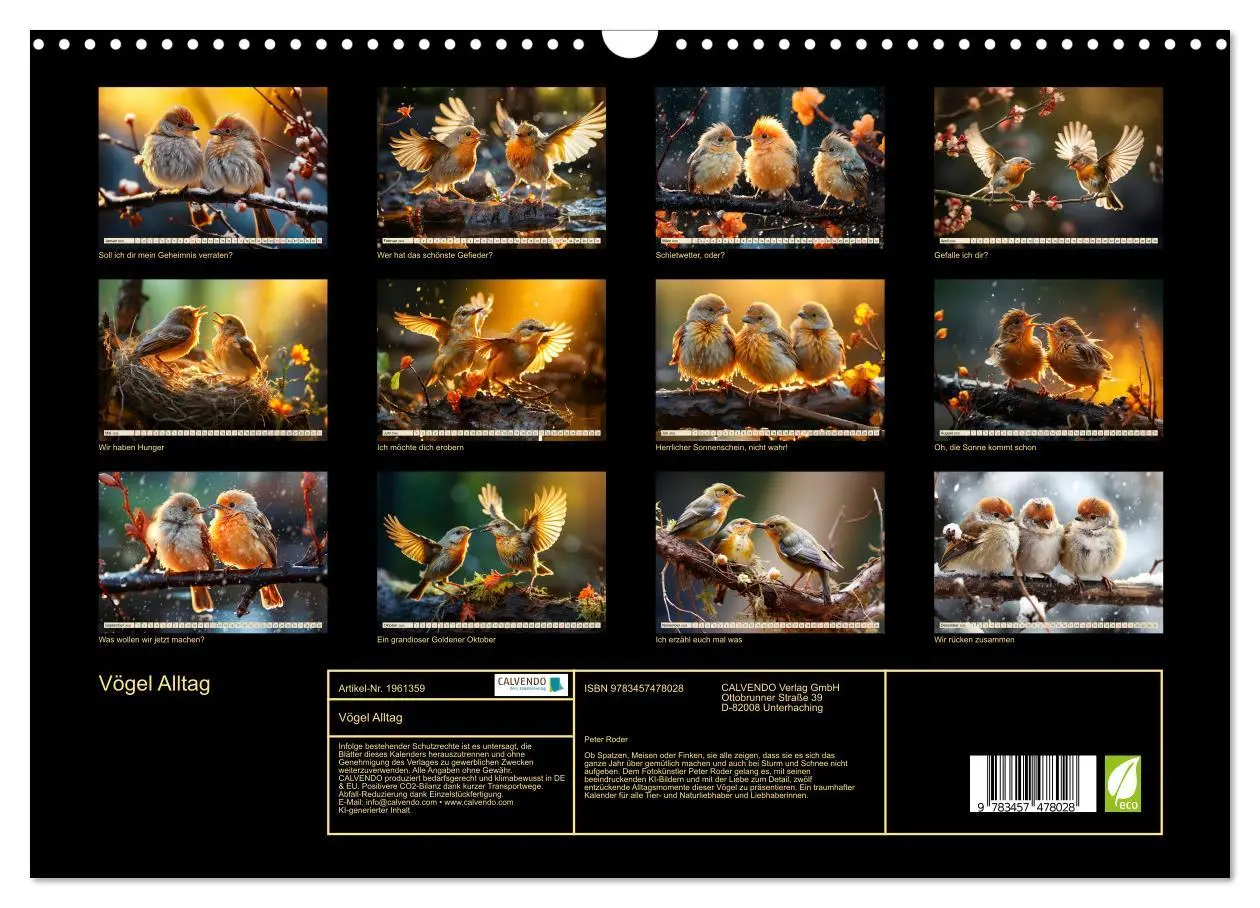 Bild: 9783457478028 | Vögel Alltag (Wandkalender 2026 DIN A3 quer), CALVENDO Monatskalender