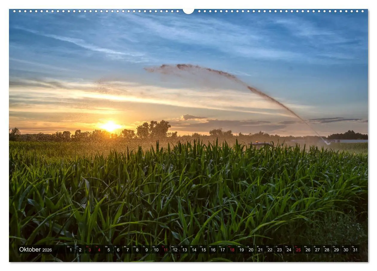 Bild: 9783457928028 | Ketsch am Rhein (Wandkalender 2026 DIN A2 quer), CALVENDO...