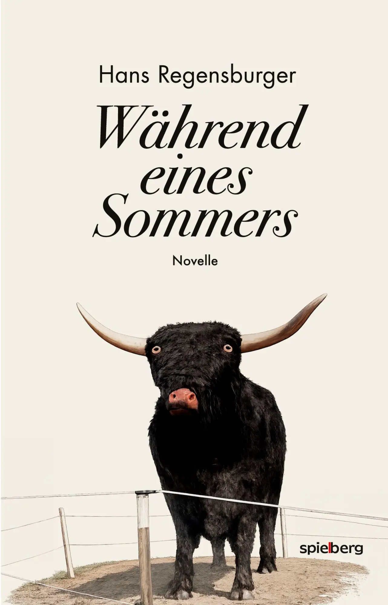 Cover: 9783954528028 | Während eines Sommers | Hans Regensburger | Taschenbuch | Deutsch