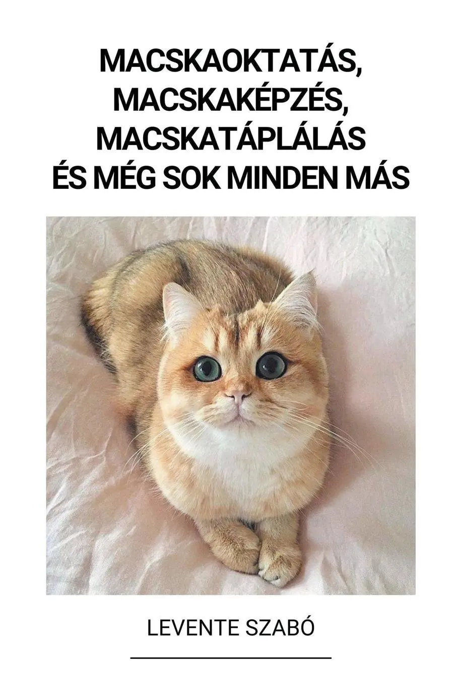Cover: 9798215238028 | Macskaoktatás, Macskaképzés, Macskatáplálás és Még Sok Minden Más