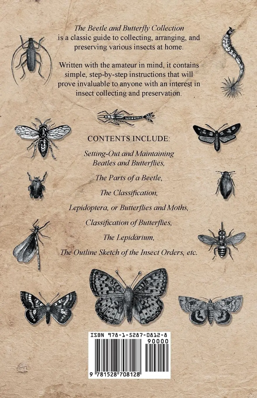 Rückseite: 9781528708128 | The Beetle and Butterfly Collection - A Guide to Collecting,...