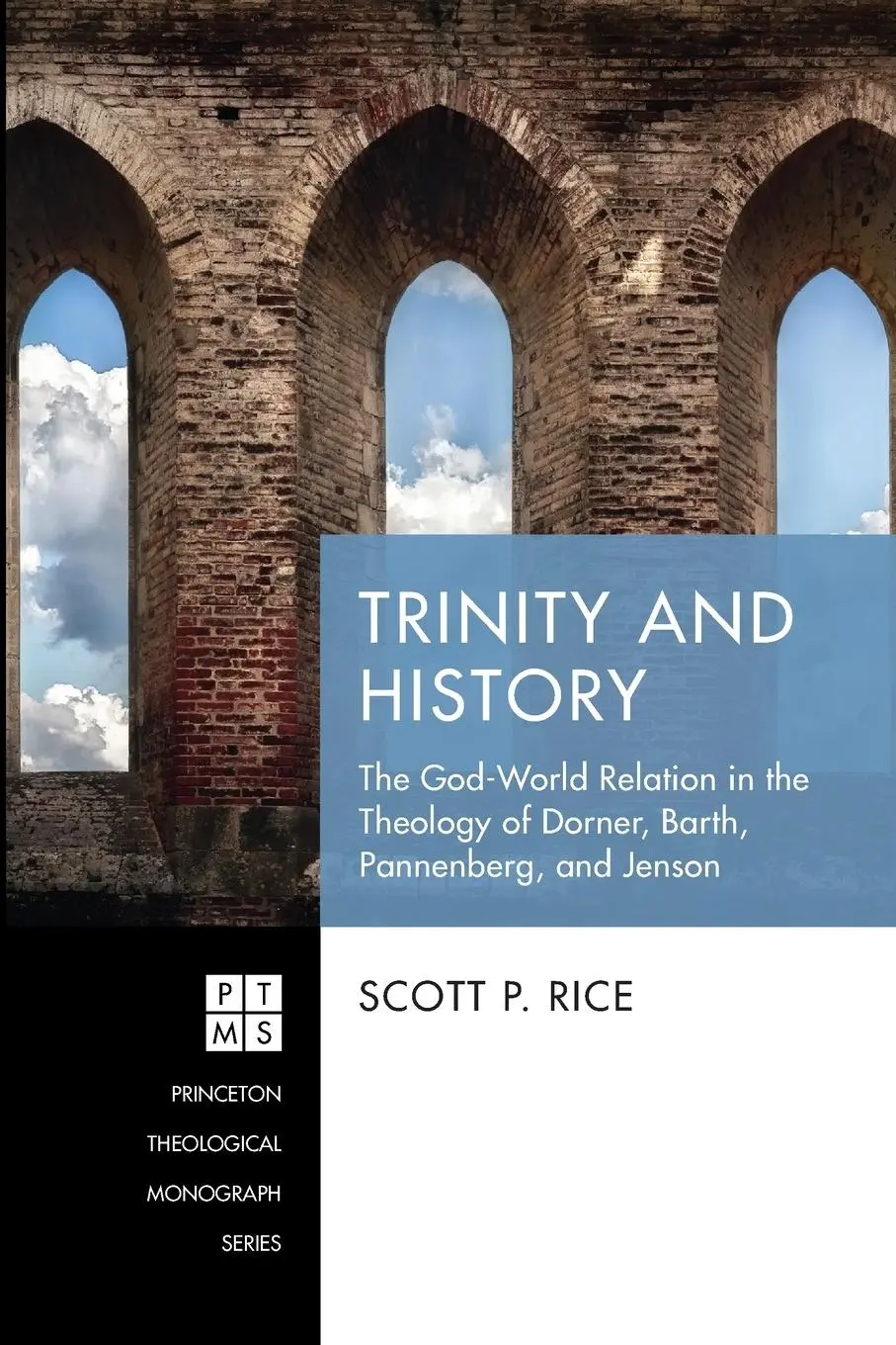 Cover: 9781532668128 | Trinity and History | Scott P. Rice | Taschenbuch | Englisch | 2022