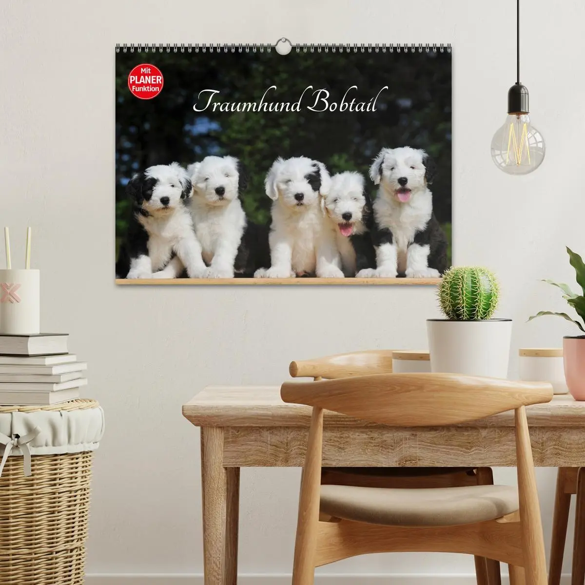 Bild: 9783516008128 | Traumhund Bobtail (Wandkalender 2026 DIN A3 quer), CALVENDO...