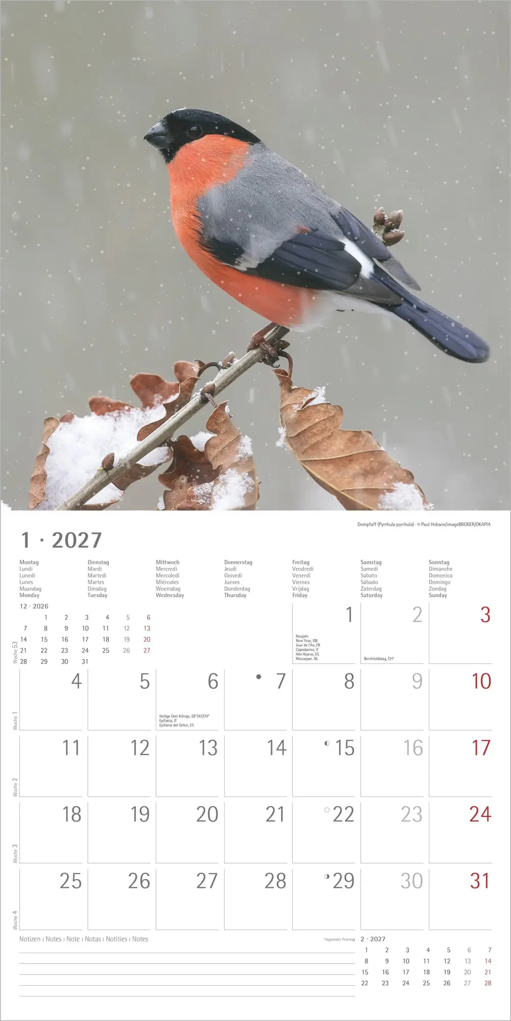 Bild: 4069095018228 | Einheimische Vögel 2027 | Neumann Verlage GmbH &amp; Co KG | Kalender
