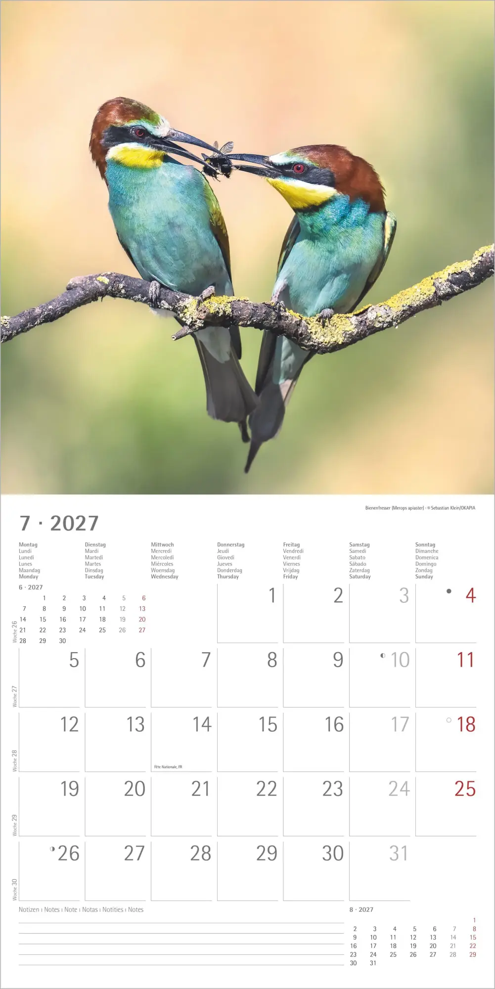 Bild: 4069095018228 | Einheimische Vögel 2027 | Neumann Verlage GmbH &amp; Co KG | Kalender