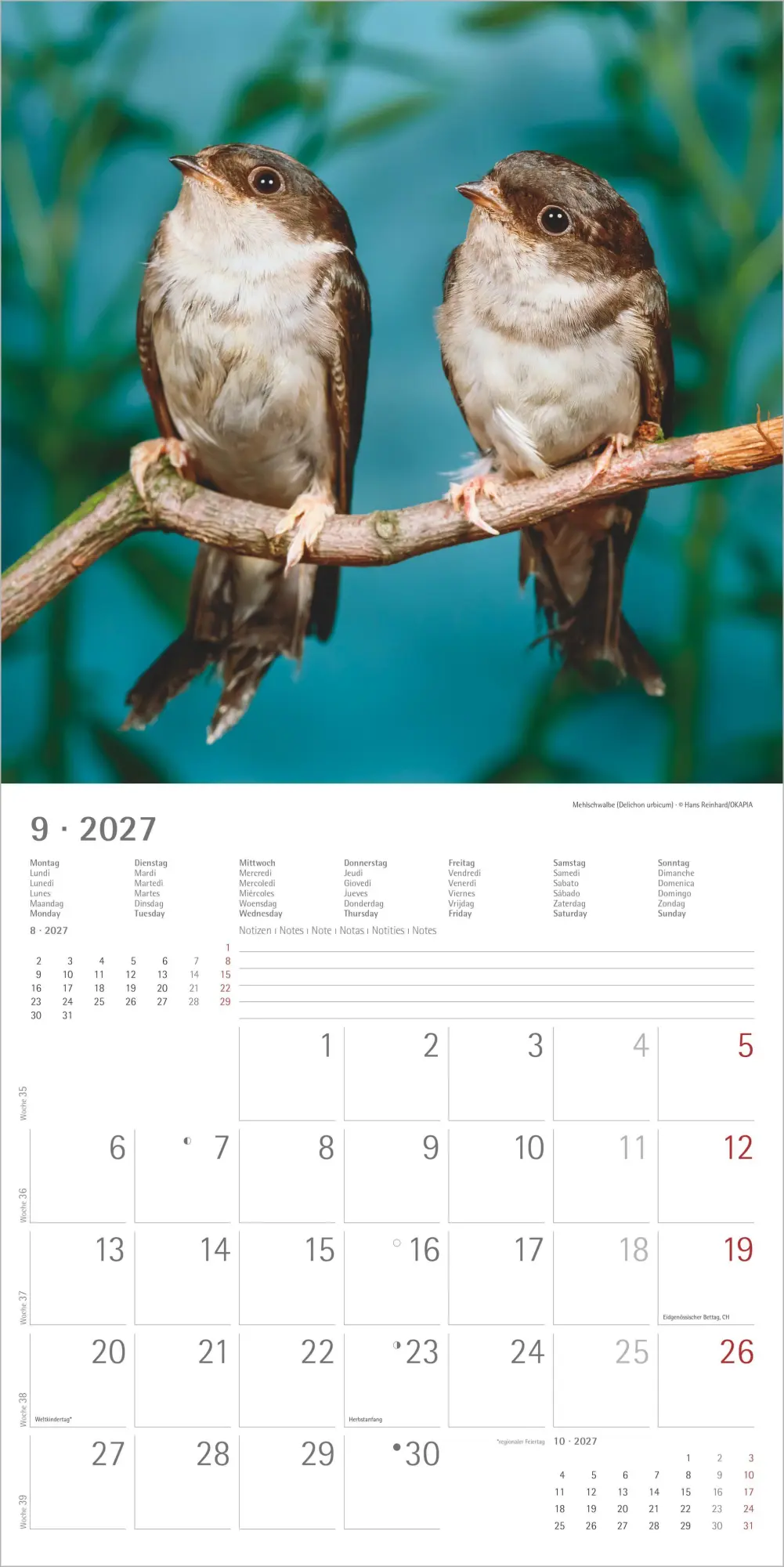 Bild: 4069095018228 | Einheimische Vögel 2027 | Neumann Verlage GmbH &amp; Co KG | Kalender