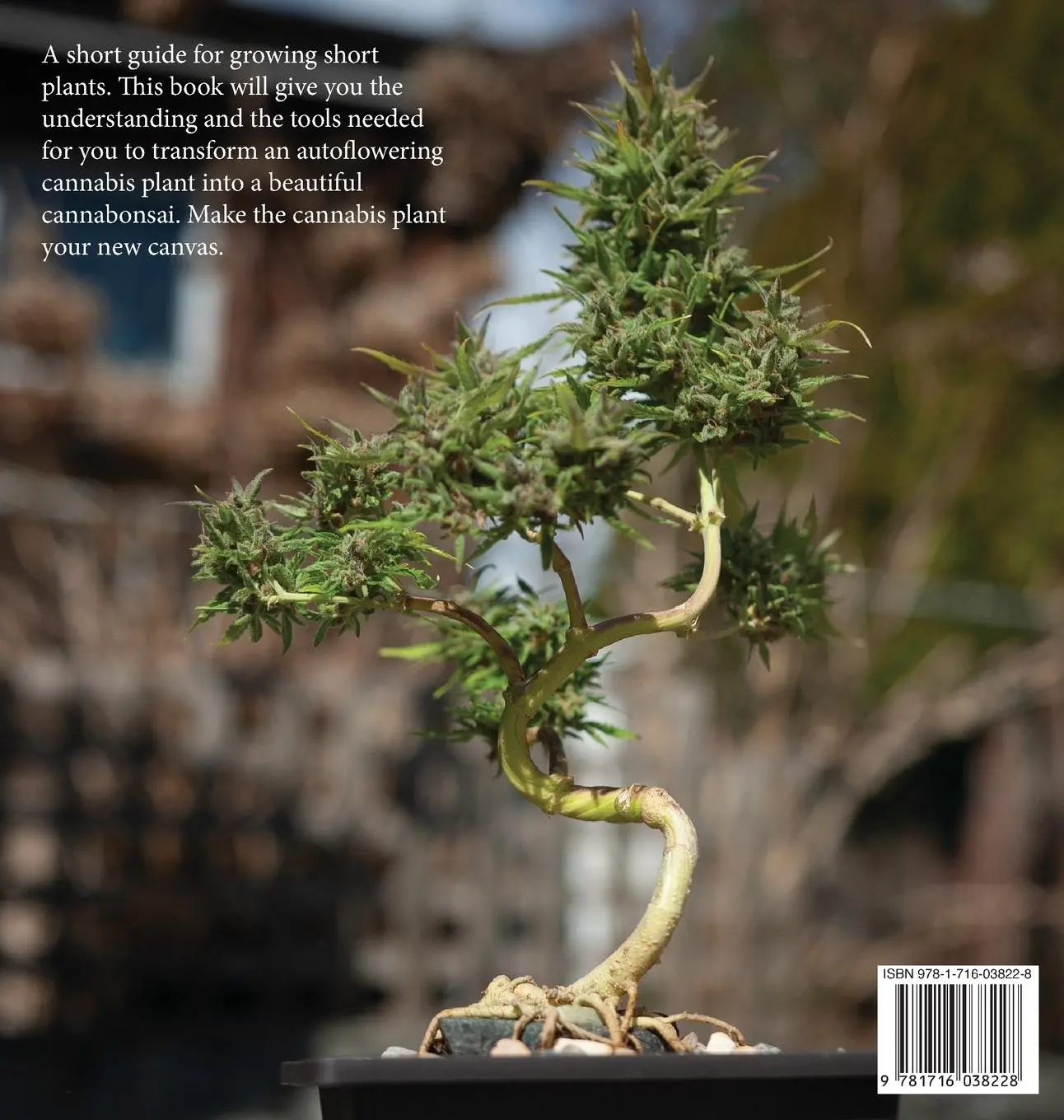 Rückseite: 9781716038228 | Cannabonsai | : A Beginners Guide | Manuel Oyarce | Buch | Englisch