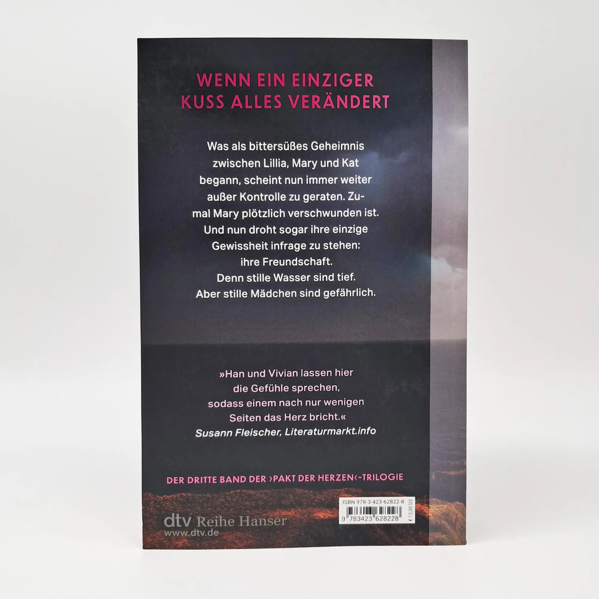 Bild: 9783423628228 | Ashes to Ashes | Jenny Han (u. a.) | Taschenbuch | 416 S. | Deutsch