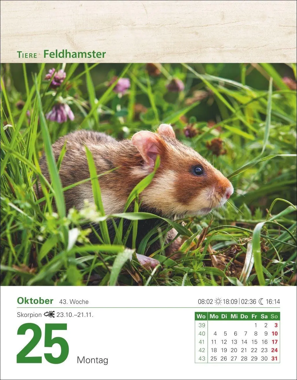 Bild: 9783840038228 | Mein Garten Tagesabreißkalender 2027 - Praktische Tipps für 2027