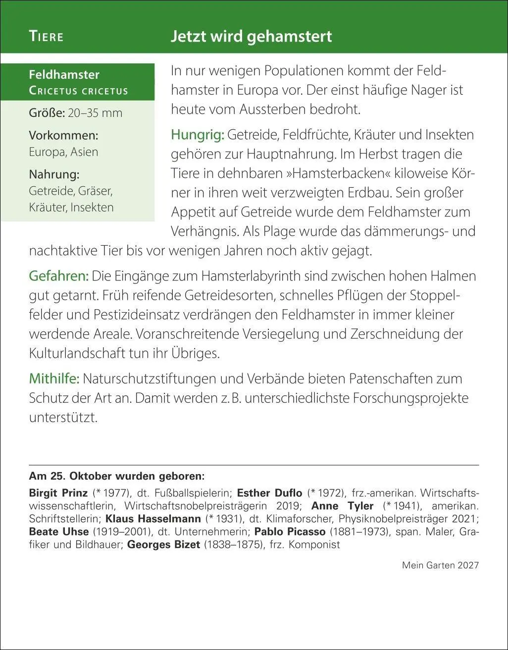 Bild: 9783840038228 | Mein Garten Tagesabreißkalender 2027 - Praktische Tipps für 2027