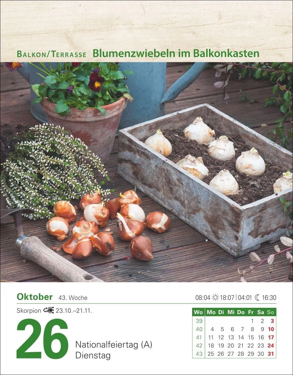Bild: 9783840038228 | Mein Garten Tagesabreißkalender 2027 - Praktische Tipps für 2027