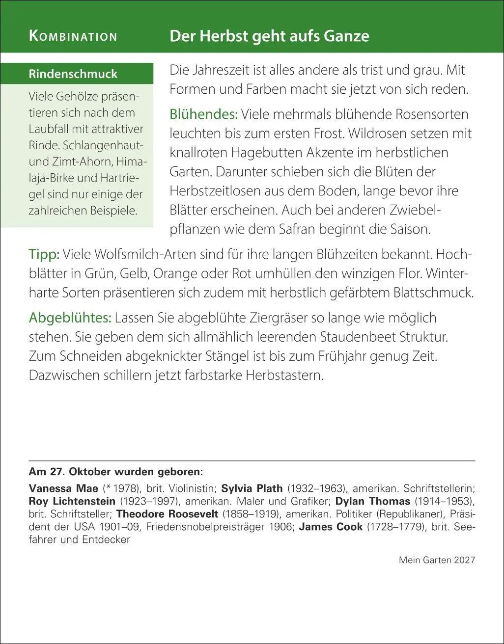 Bild: 9783840038228 | Mein Garten Tagesabreißkalender 2027 - Praktische Tipps für 2027