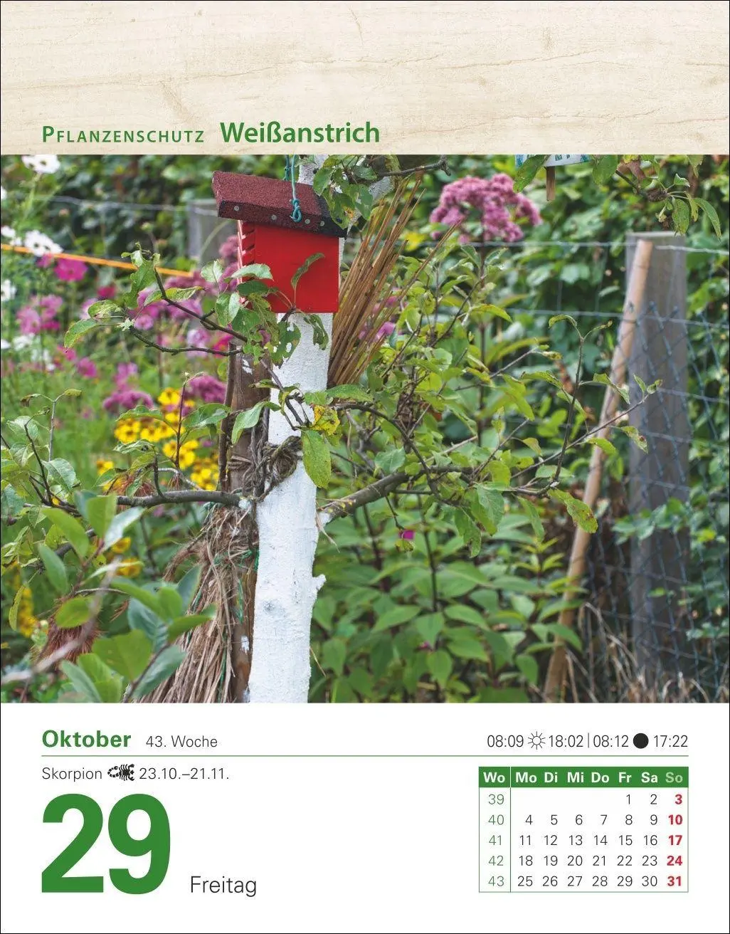 Bild: 9783840038228 | Mein Garten Tagesabreißkalender 2027 - Praktische Tipps für 2027