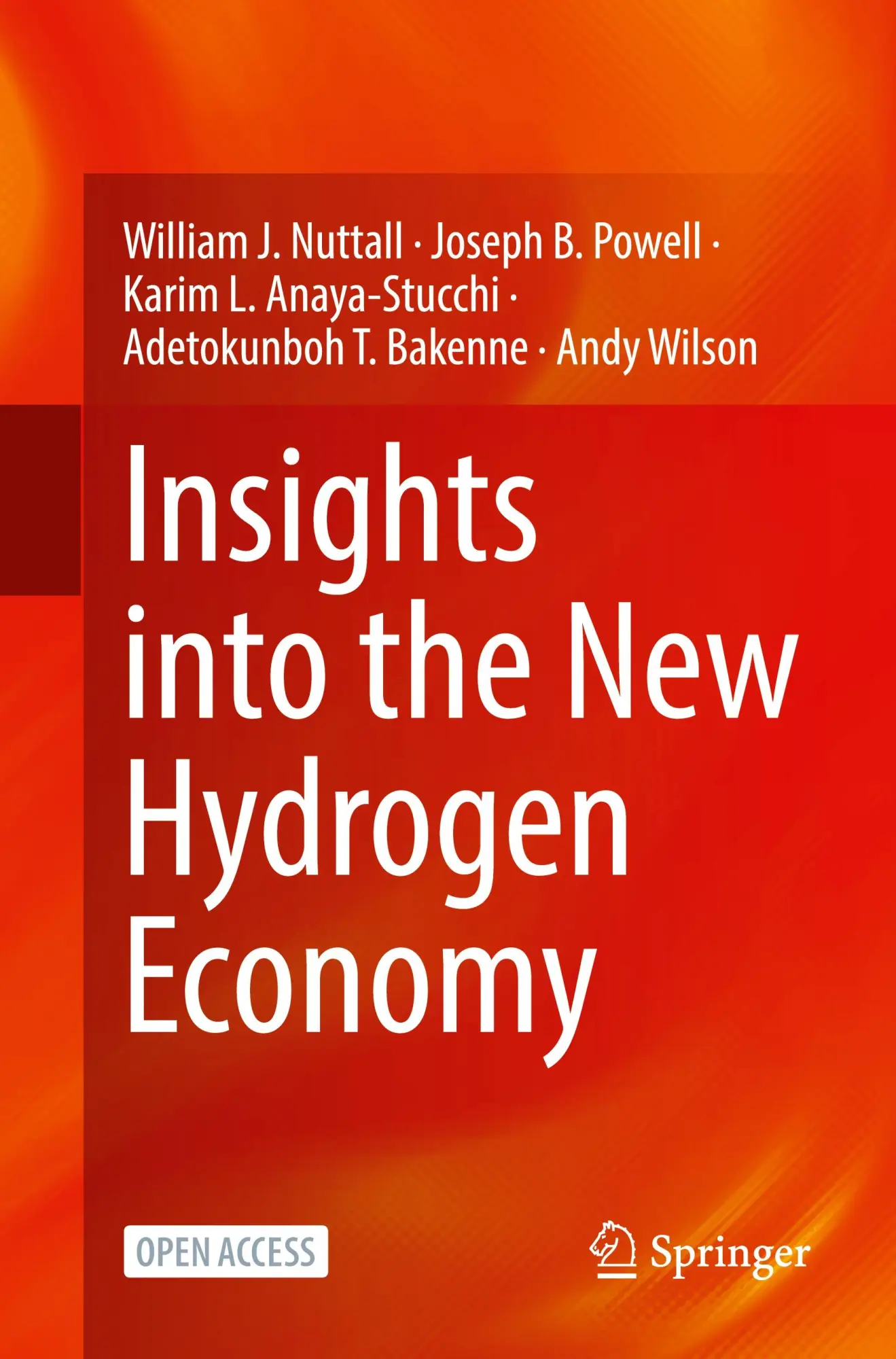 Cover: 9783031718328 | Insights into the New Hydrogen Economy | William J. Nuttall (u. a.)