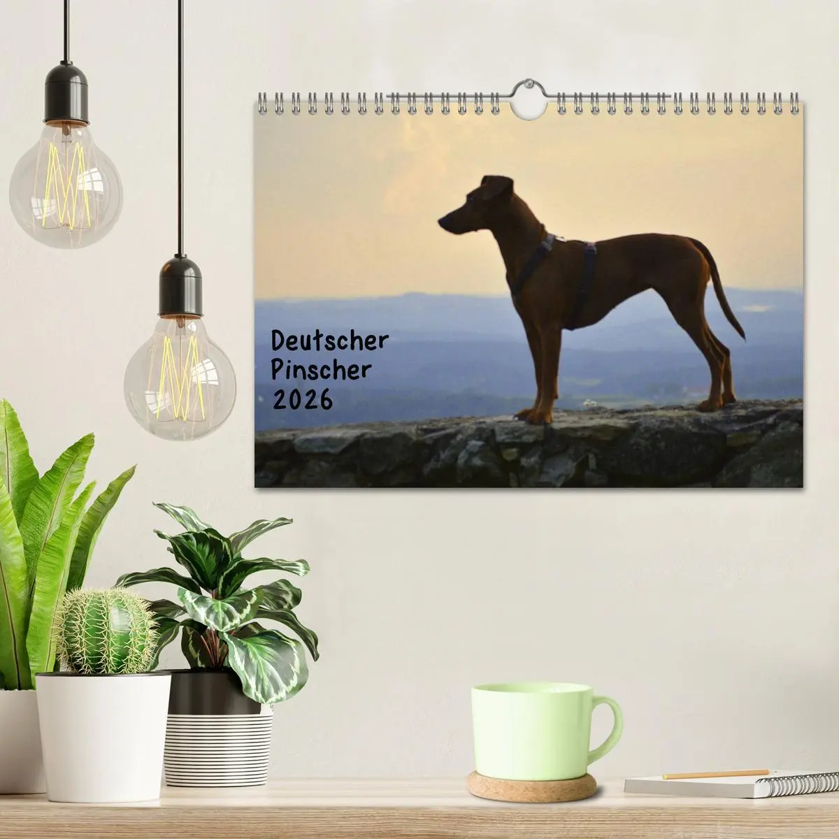 Bild: 9783516088328 | Deutscher Pinscher (Wandkalender 2026 DIN A4 quer), CALVENDO...