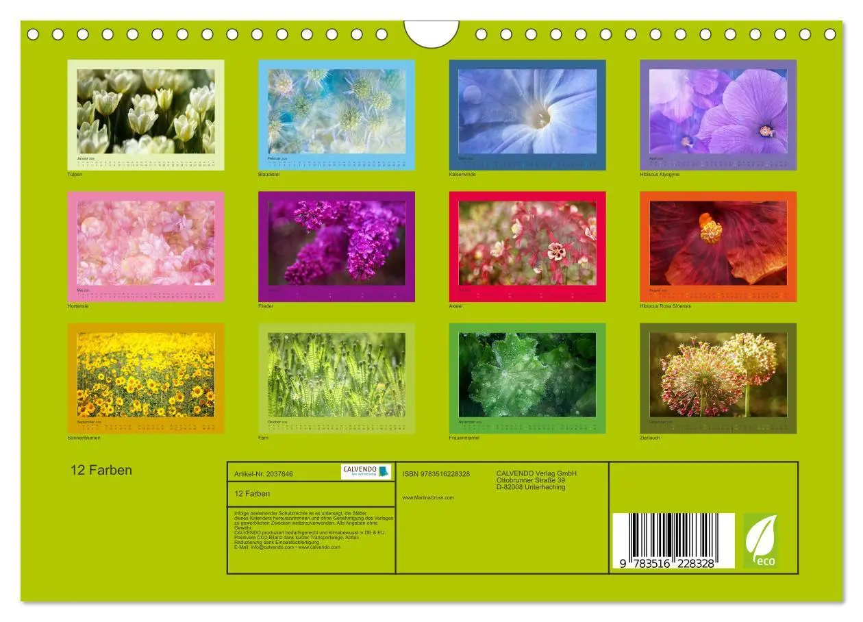 Bild: 9783516228328 | 12 Farben (Wandkalender 2026 DIN A4 quer), CALVENDO Monatskalender