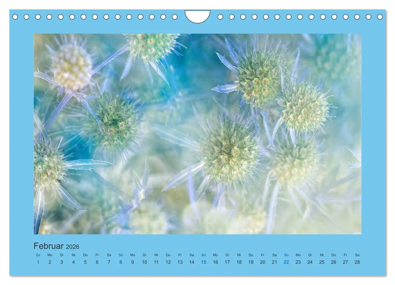 Bild: 9783516228328 | 12 Farben (Wandkalender 2026 DIN A4 quer), CALVENDO Monatskalender