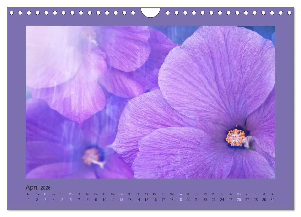 Bild: 9783516228328 | 12 Farben (Wandkalender 2026 DIN A4 quer), CALVENDO Monatskalender