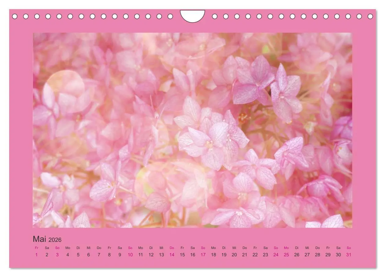 Bild: 9783516228328 | 12 Farben (Wandkalender 2026 DIN A4 quer), CALVENDO Monatskalender