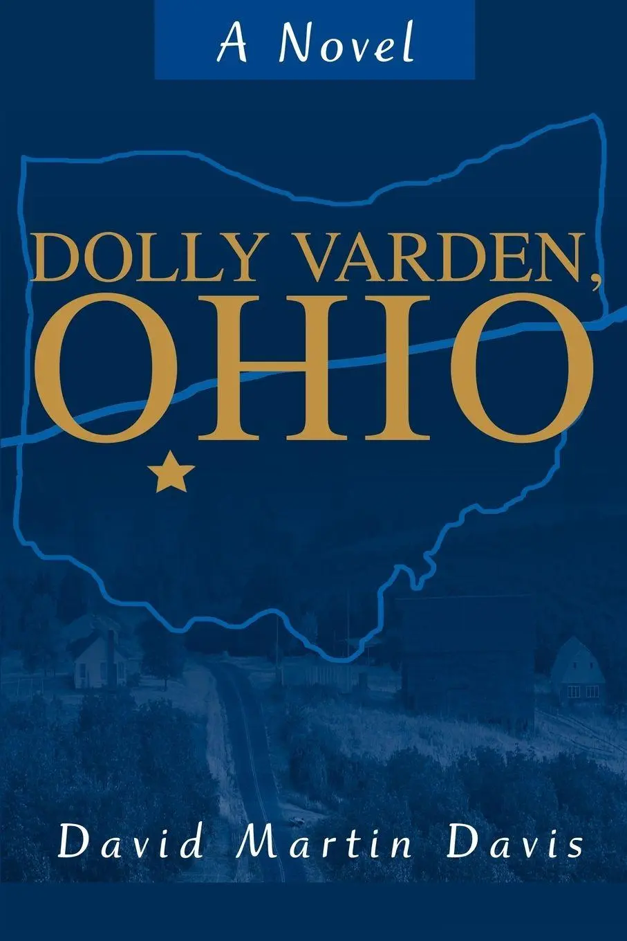 Cover: 9780595268528 | Dolly Varden, Ohio | A Novel | David Martin Davis | Taschenbuch | 2003