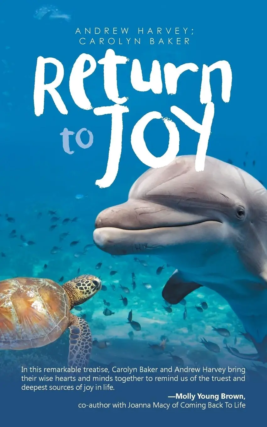 Cover: 9781532008528 | Return to Joy | Andrew Harvey (u. a.) | Taschenbuch | Englisch | 2016