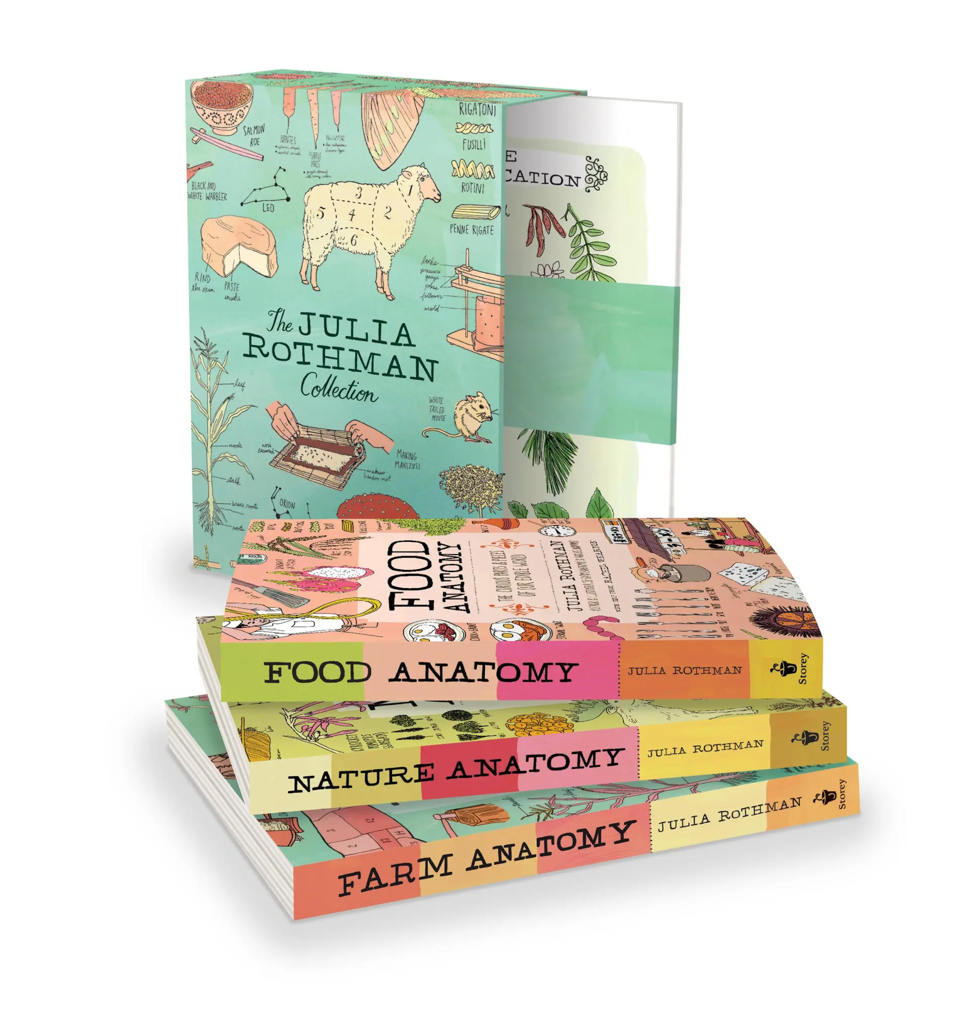 Bild: 9781612128528 | The Julia Rothman Collection | Julia Rothman | Buch | Englisch | 2016