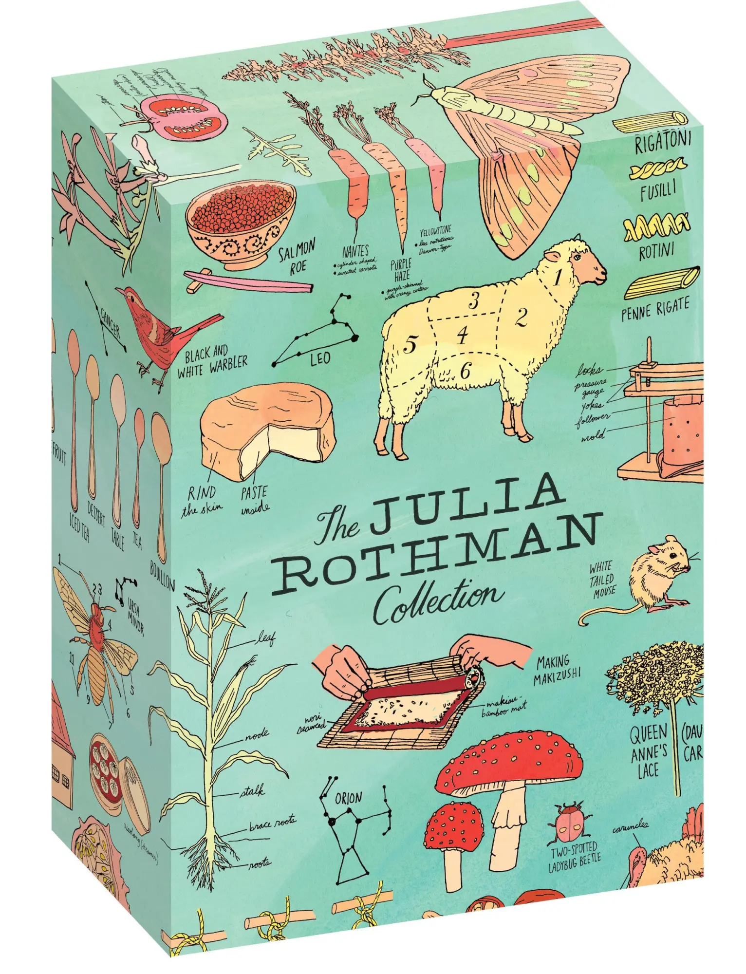 Bild: 9781612128528 | The Julia Rothman Collection | Julia Rothman | Buch | Englisch | 2016