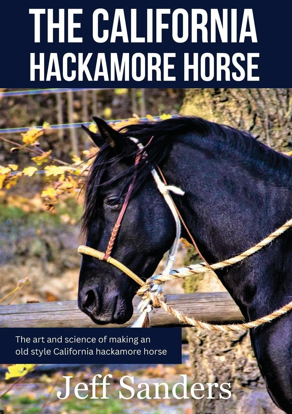 Cover: 9788090848528 | The California Hackamore Horse - The Art and Science of Making an...