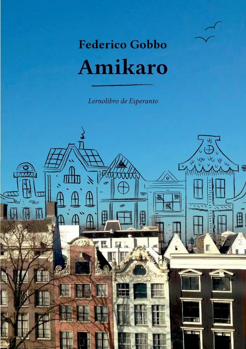 Cover: 9780244798628 | Amikaro | Federico Gobbo | Taschenbuch | Esperanto | 2019 | Lulu.com