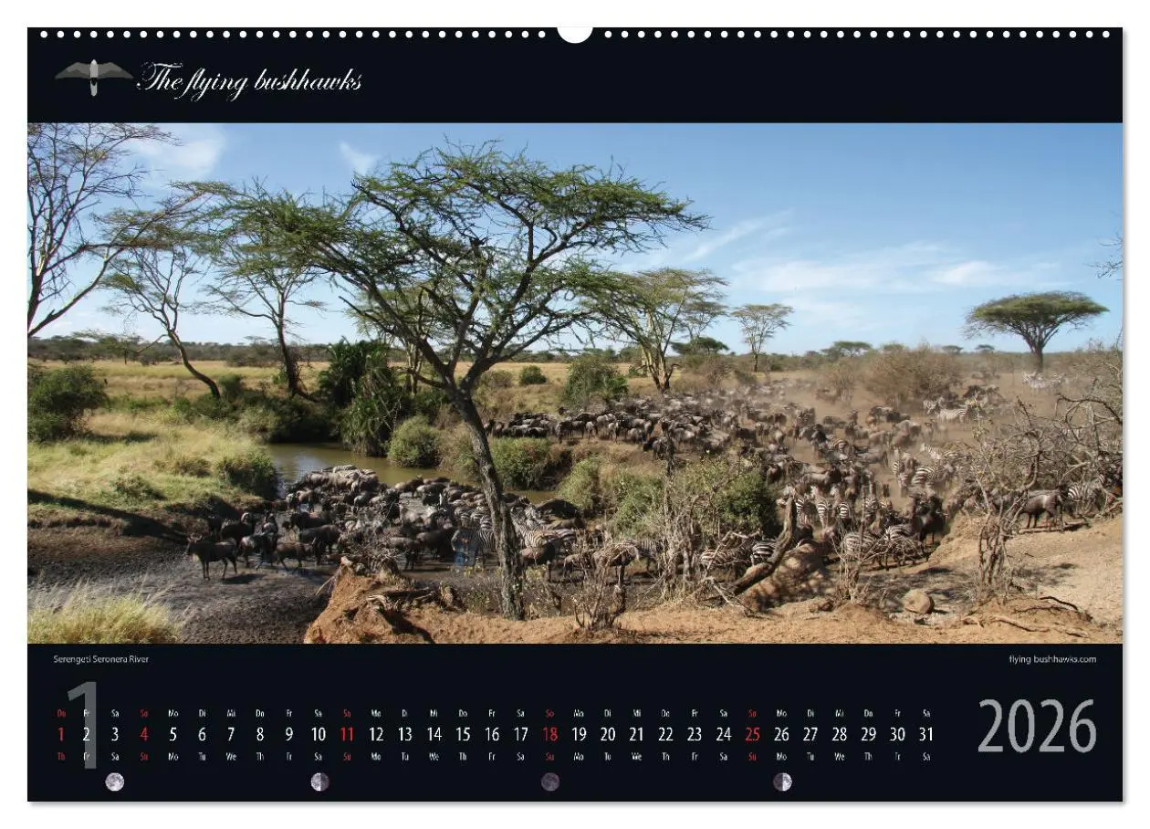 Bild: 9783457278628 | Tansania Blickwinkel 2026 (Wandkalender 2026 DIN A2 quer), CALVENDO...