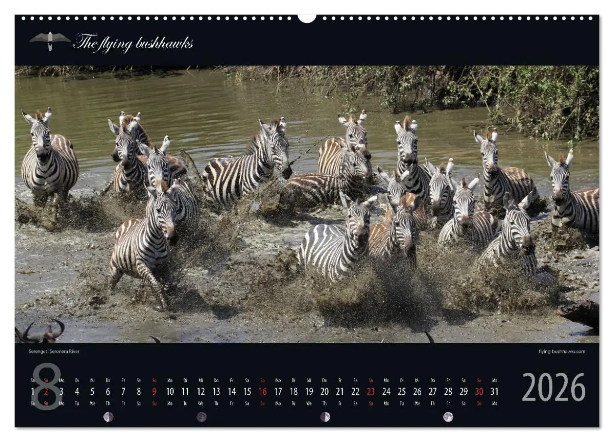 Bild: 9783457278628 | Tansania Blickwinkel 2026 (Wandkalender 2026 DIN A2 quer), CALVENDO...