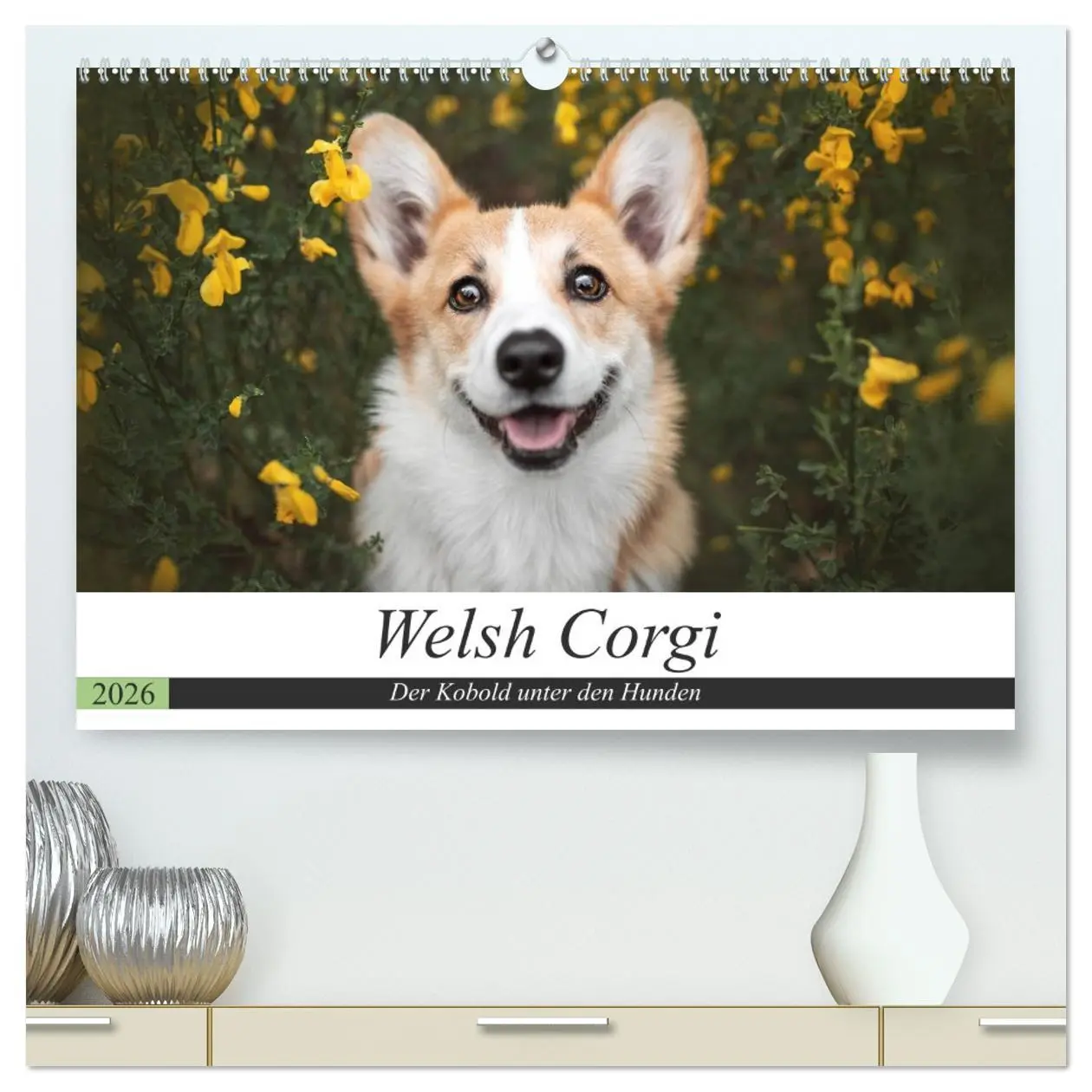 Cover: 9783457658628 | Welsh Corgi - Der Kobold unter den Hunden (hochwertiger Premium...