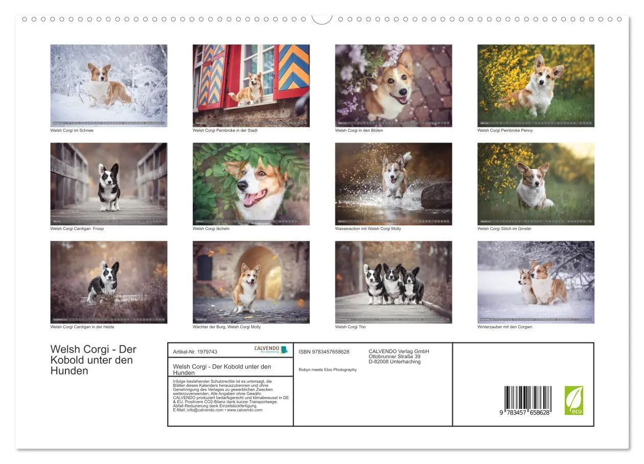 Bild: 9783457658628 | Welsh Corgi - Der Kobold unter den Hunden (hochwertiger Premium...