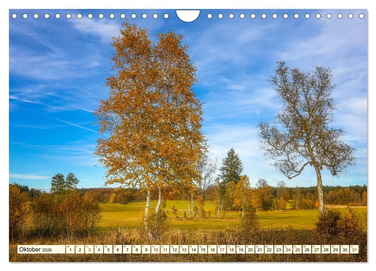 Bild: 9783457578728 | Naturpark Obere Donau (Wandkalender 2026 DIN A4 quer), CALVENDO...